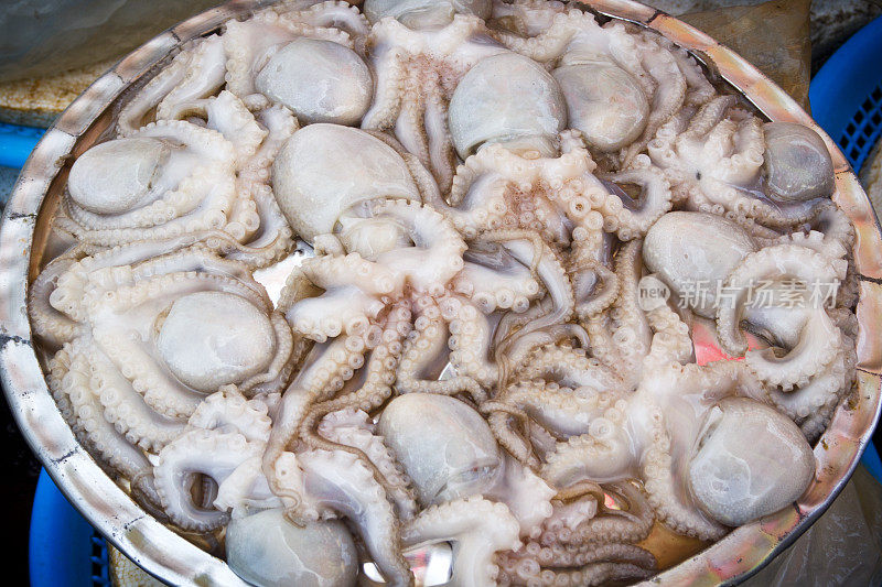 Jagalchi鱼市场出售章鱼