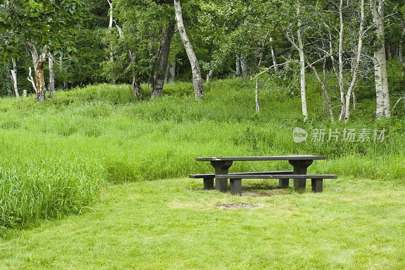 森林里的野餐桌