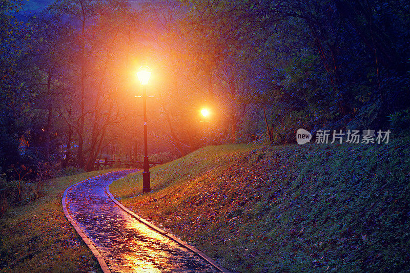 晚上公园里下雨的路