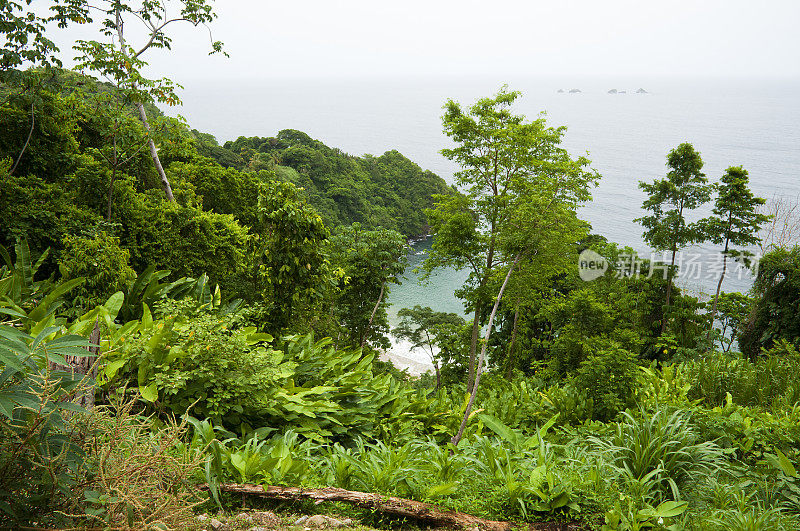 海湾概览