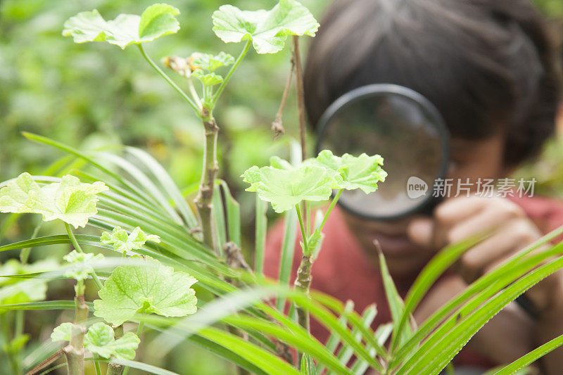 小学女孩喜欢发现自然。放大镜。