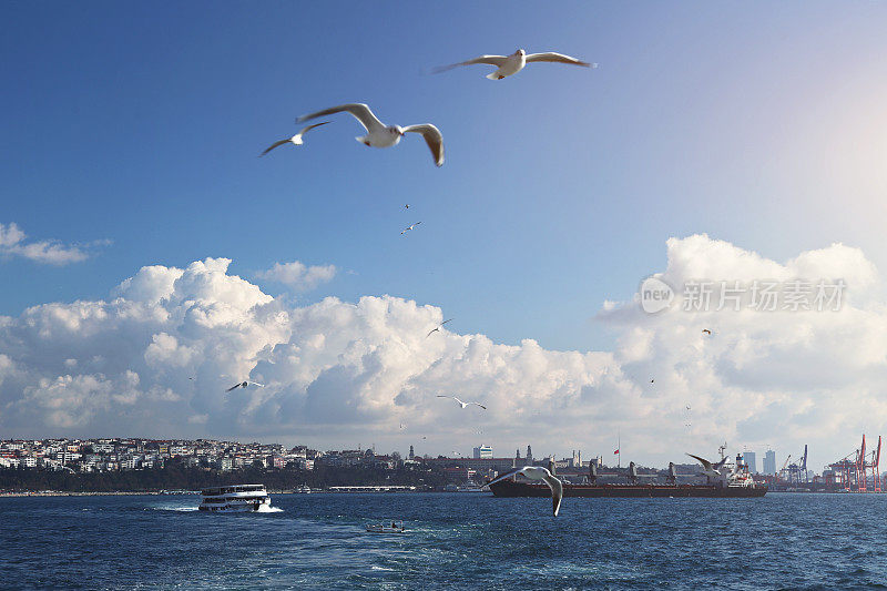 渡轮,伊斯坦布尔,土耳其