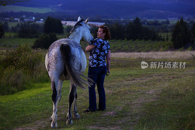 一个女人牵着一匹灰色的大马在田野里