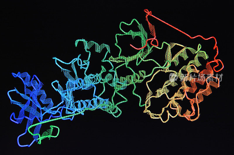 蛋白质分子的结构。