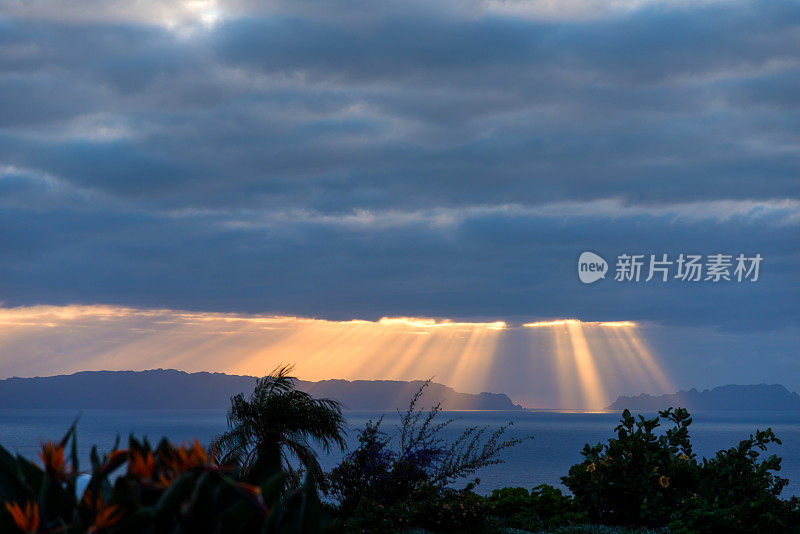 日出时太阳照射在海面上