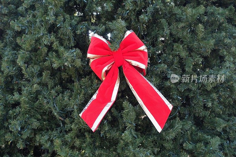 圣诞家居装饰:圣诞树上的红色圣诞丝带