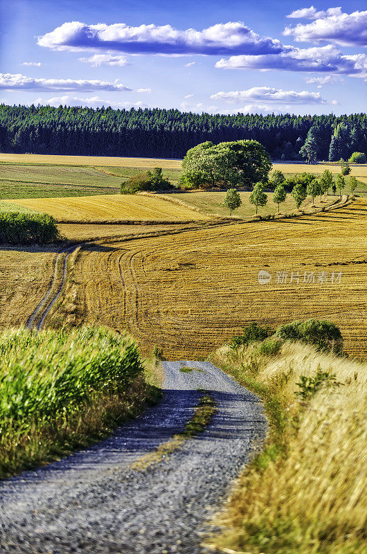 乡村景观中的乡村道路(HDRi)