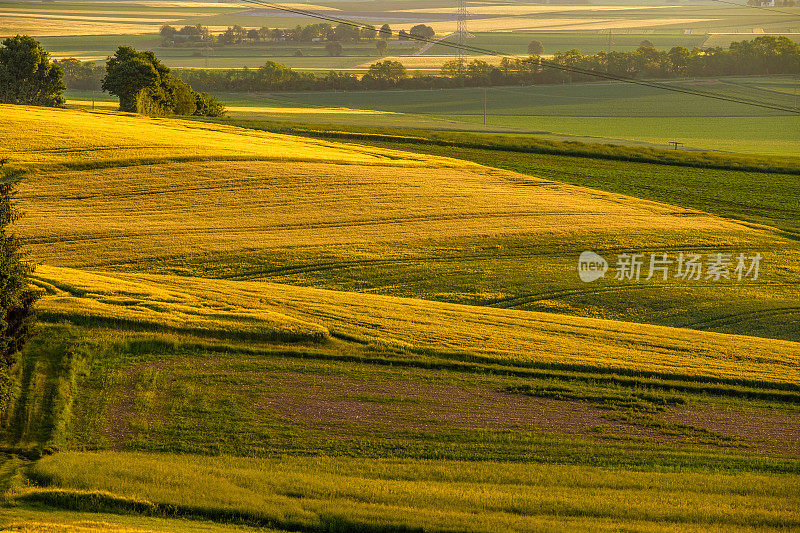 夕阳下的丘陵。农村景观。绿色的田野和农田，清新的色彩