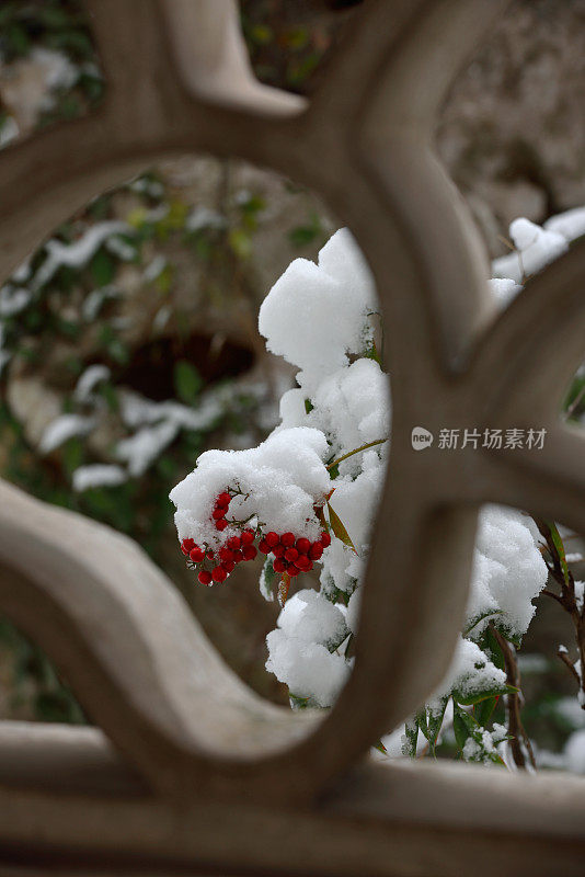 长江以南正在下雪