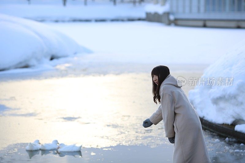 年轻女子在结冰的池塘里看鸭子