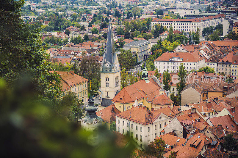 总统的告别,Slovenia