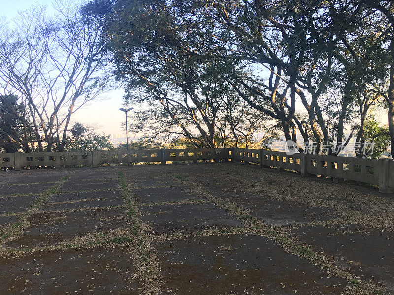 宽阔的铺有树木的院子，在日落的光照亮的背景