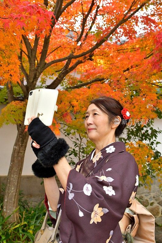 穿着和服的日本妇女在京都拍摄秋叶