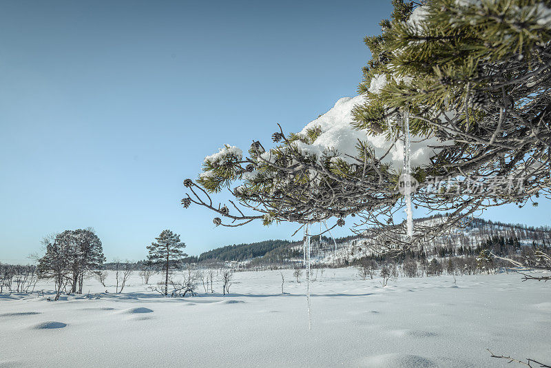 挪威森加岛冬日的雪景