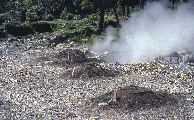 火山蒸汽的地下烹饪，弗纳斯，圣米格尔，亚速尔群岛，1981年