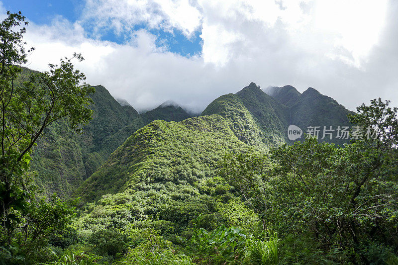 艾奥谷州立公园，毛伊岛，夏威夷，美国