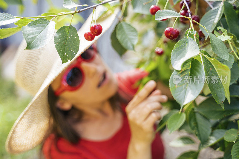 夏天快乐。不只是纯素食者才吃樱桃。