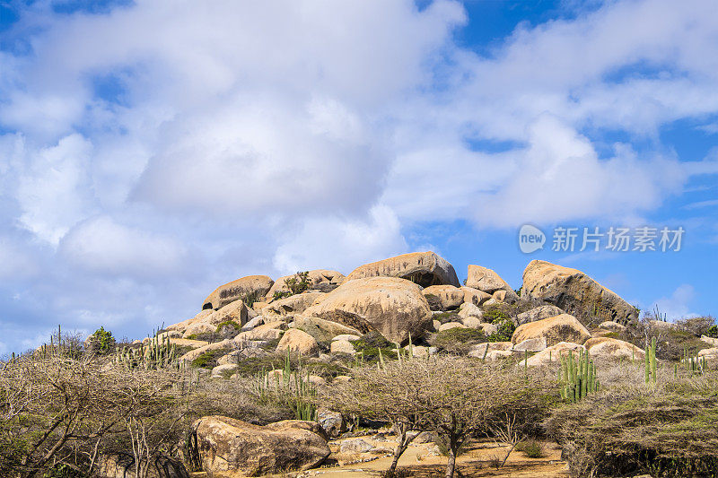 阿鲁巴，阿约岩层