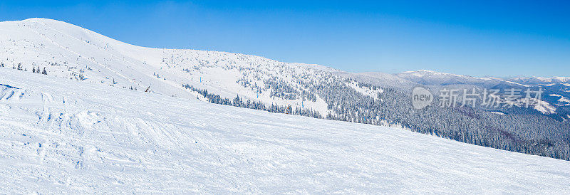 美丽的冬季全景与新鲜的粉末雪。风景与云杉，蓝天与阳光和高喀尔巴阡山脉的背景