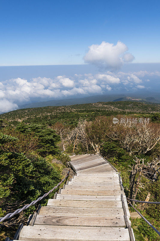 在韩国济州岛Hallasan国家公园的Gwaneumsa步道徒步旅行