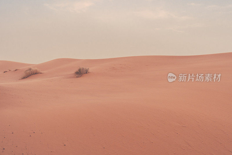 摩洛哥Merzouga沙漠的橙色沙丘和多云的天空。