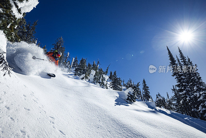 粉滑雪