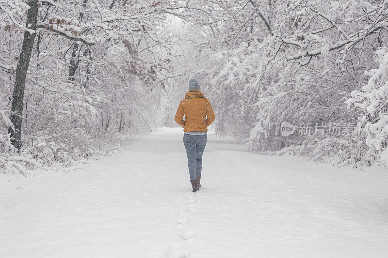 走在暴雪