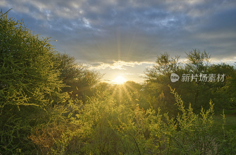 南非美丽的兰尼斯堡国家公园，夏日里的壮观日出