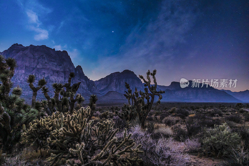 内华达州沙漠的夜景