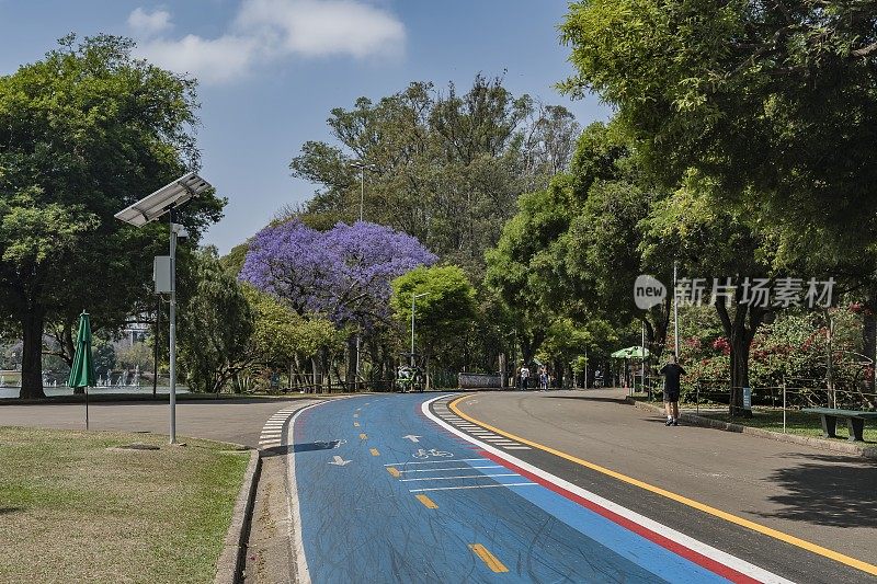 Ibirapuera公园。蓝色自行车道在人行道上转弯。巴西圣保罗