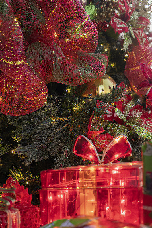 圣诞节装饰的一个房子的客厅