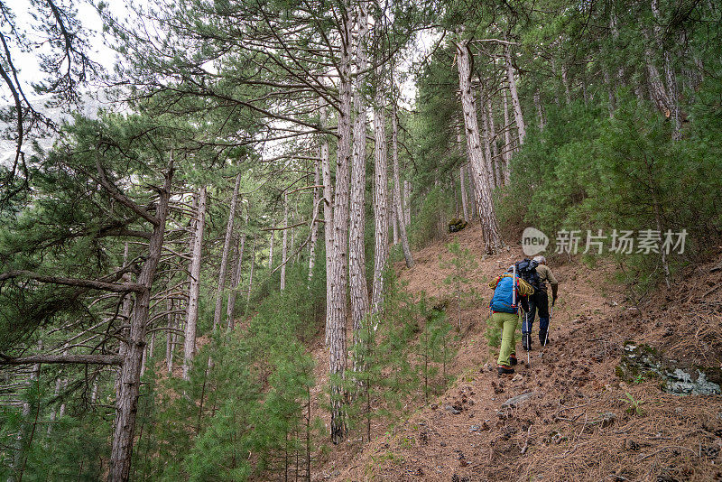 登山队在开始登山前，正在森林中的一条小径上行走