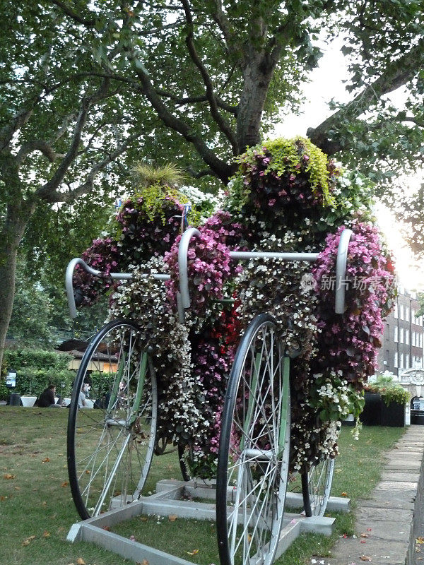 骑自行车的人在花中比赛