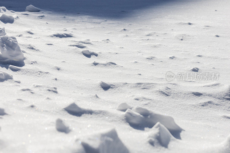 霜天里的雪堆