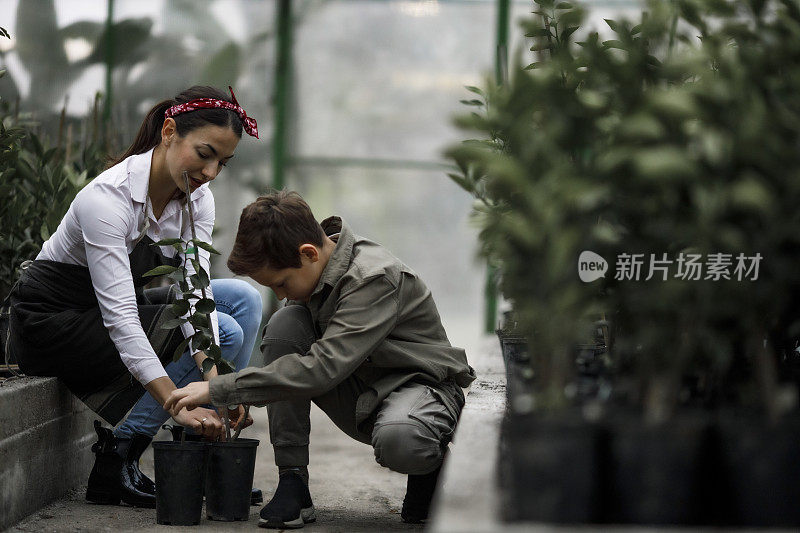 微笑着学习生物学的少年