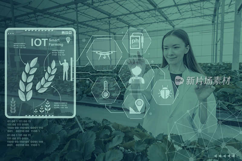 智能农业或精准农业，现代农民使用物联网软件技术监控农业温室农场。