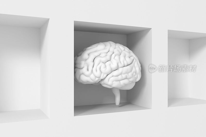 大脑在墙上-积木的概念