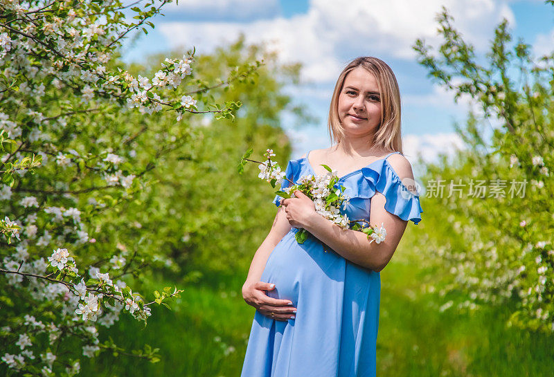 孕妇站在开花的苹果树花园里。有选择性的重点。