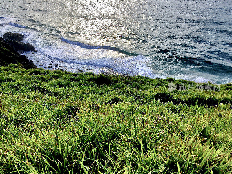 拜伦角草地和海洋景观