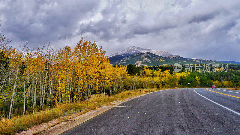 漫长的道路蜿蜒穿过长满黄色树木的崎岖山路