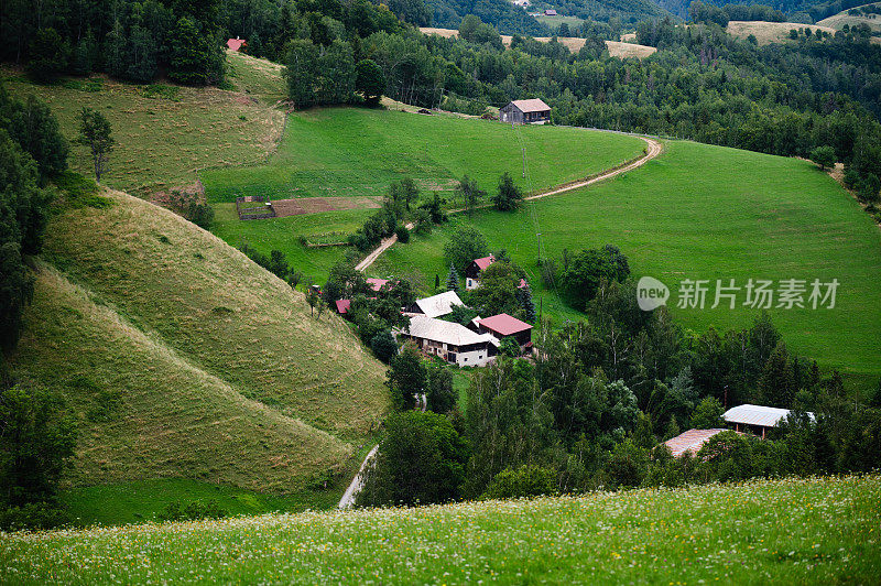 斯洛伐克草地