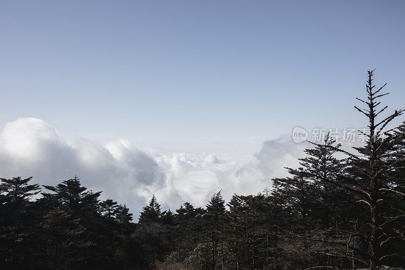 中国四川省乐山市峨眉山山顶风光。