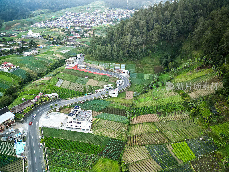 印尼中爪哇省达旺曼古省武吉塞基潘，早晨鸟瞰拉乌山山坡上的菜园和村庄定居点或住房。
