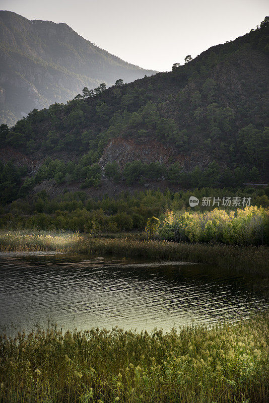 湖景