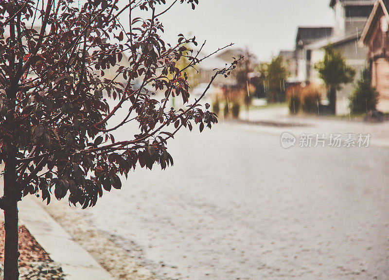 美国的暴雨。居民区在大雨中