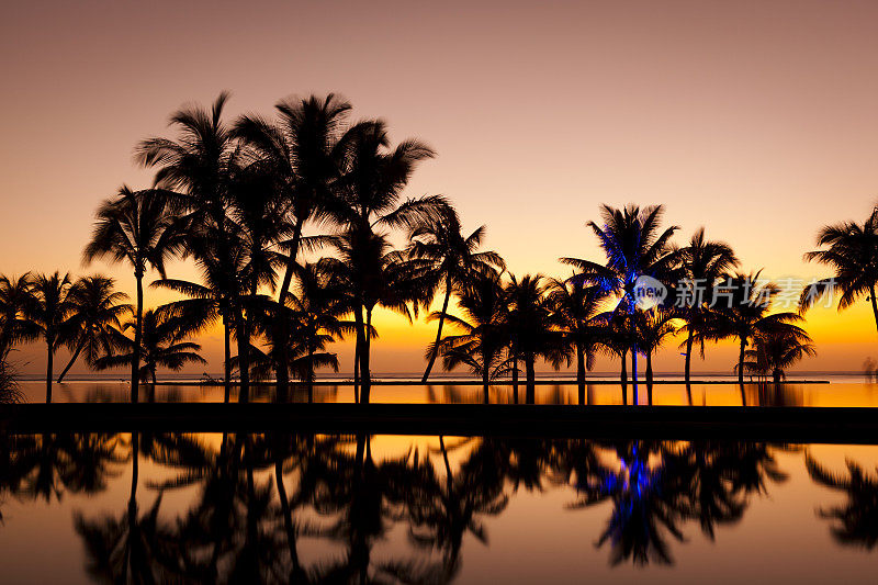 日落时棕榈树的剪影，毛里求斯岛，非洲