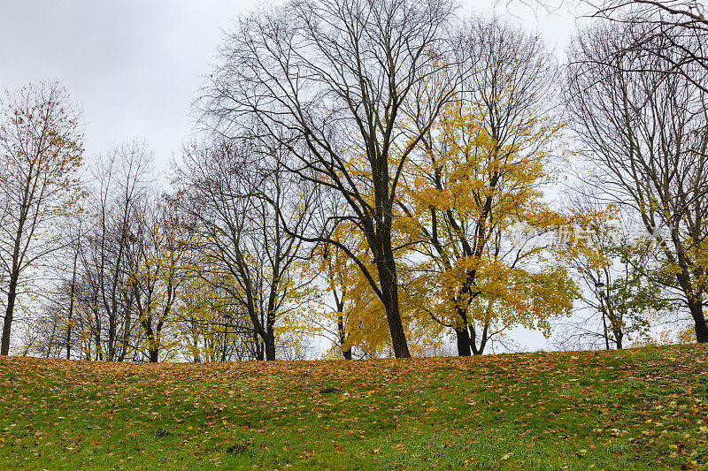 奥斯陆古斯塔夫维格兰雕塑公园的秋季色彩