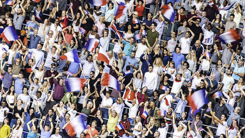 法国球迷在体育场挥舞旗帜