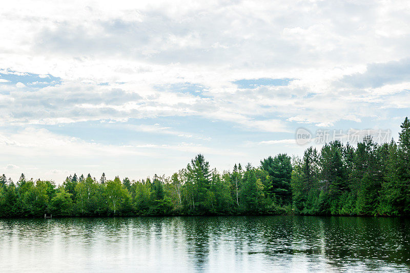 宁静的钓鱼湖和森林。