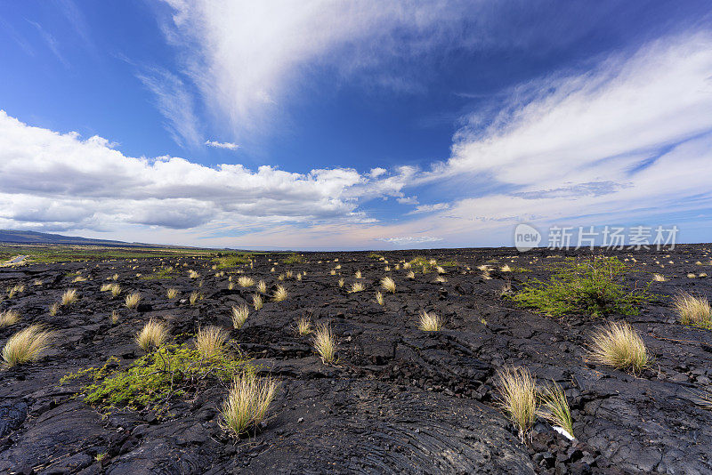 美国夏威夷大岛的火山景观